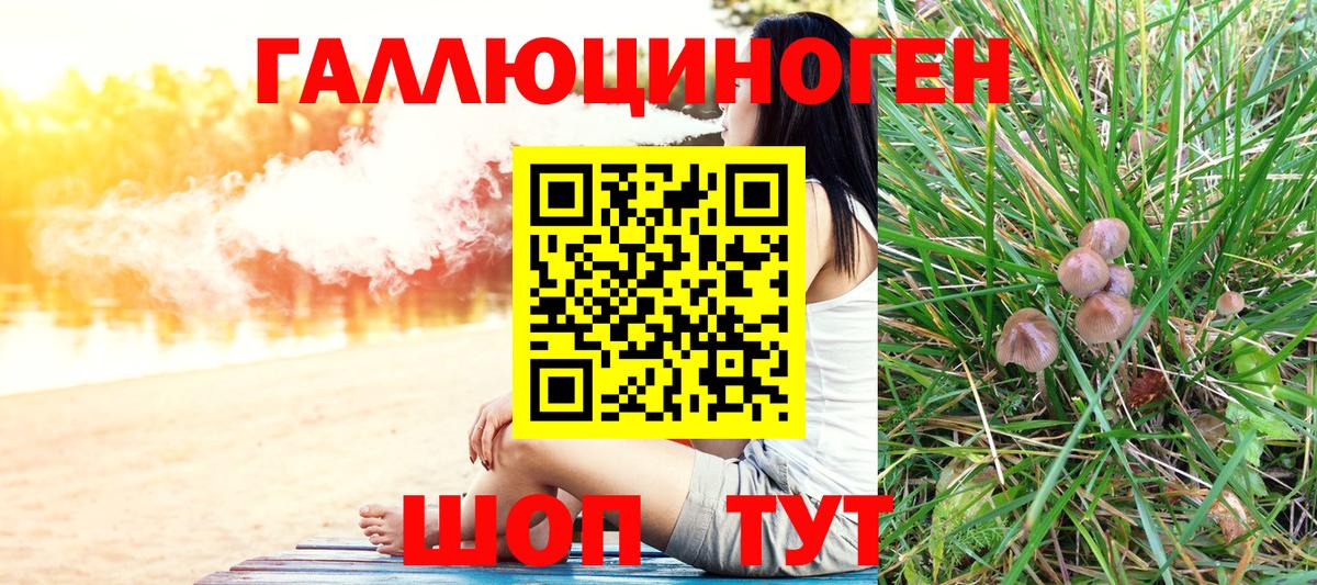 Екатеринбург  Псилоцибиновые грибы Psilocybine cubensis  Псилоцибиновые грибы Cubensis  Вход с VPN 